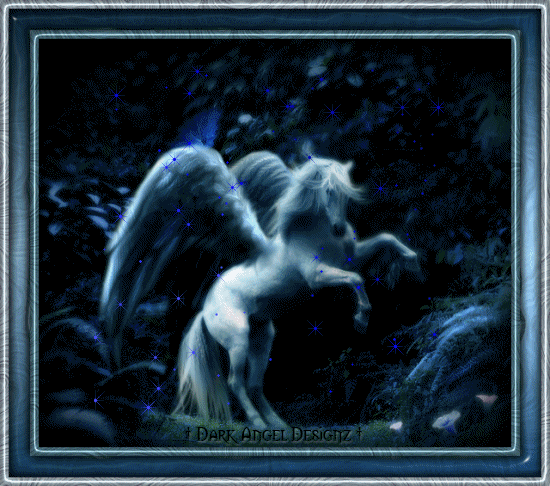 image.gif