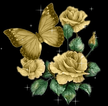 image.gif