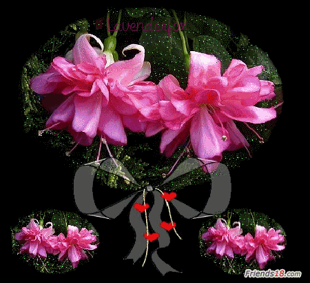image.gif