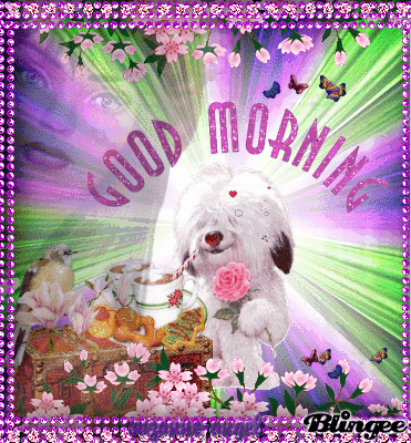 image.gif