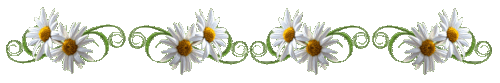 image.gif