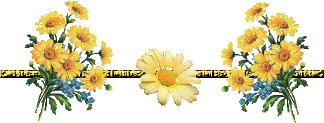 image.gif