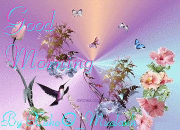 image.gif