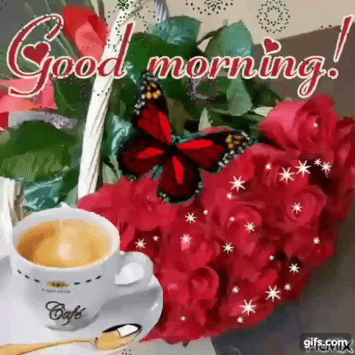 image.gif