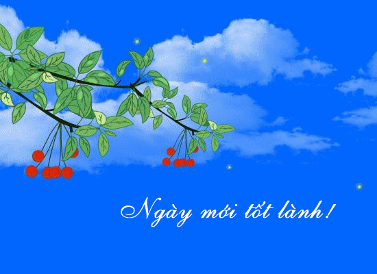 image.gif