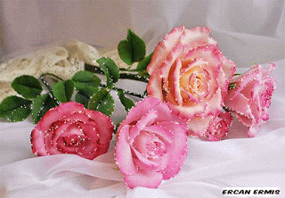 image.gif