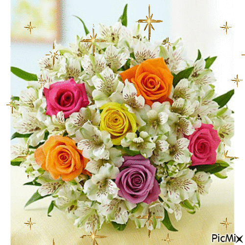 image.gif