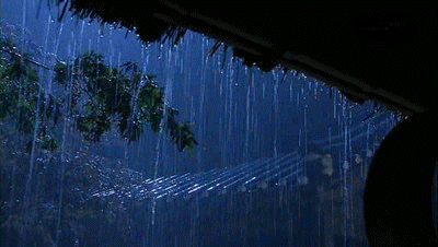 image.gif
