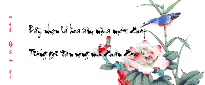 image.gif