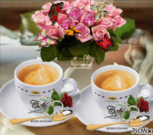 image.gif