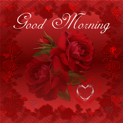 image.gif
