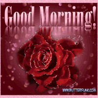 image.gif