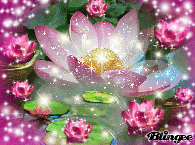 image.gif