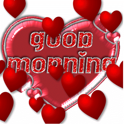 image.gif