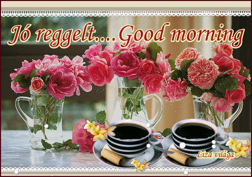 image.gif