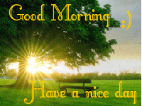 image.gif