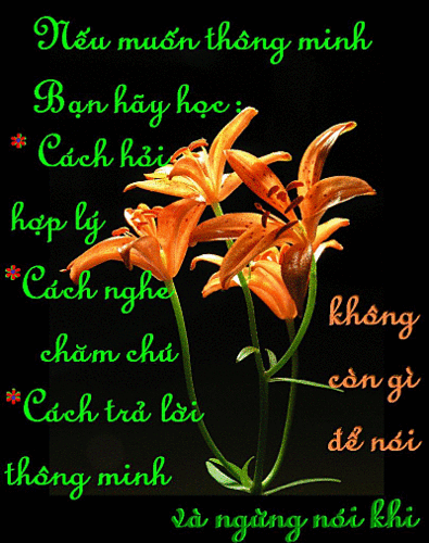 image.gif