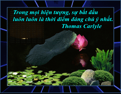 image.gif