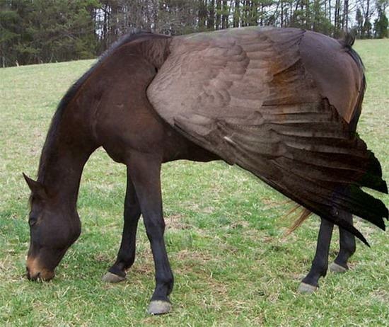 image.jpeg