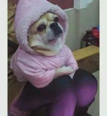 image.jpeg