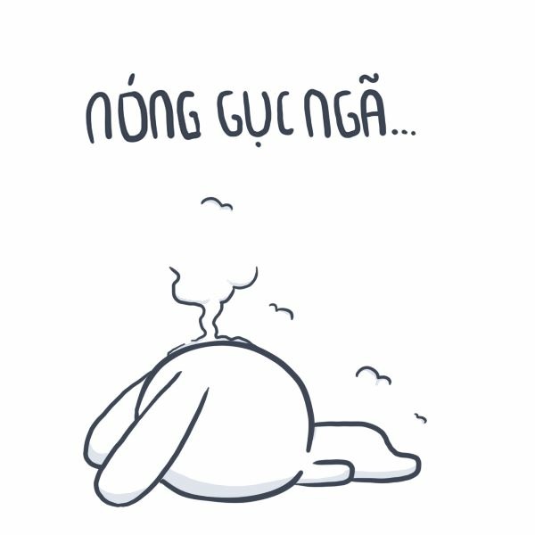 image.jpeg
