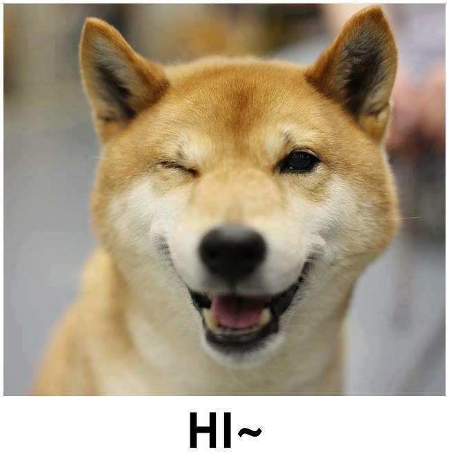 image.jpeg