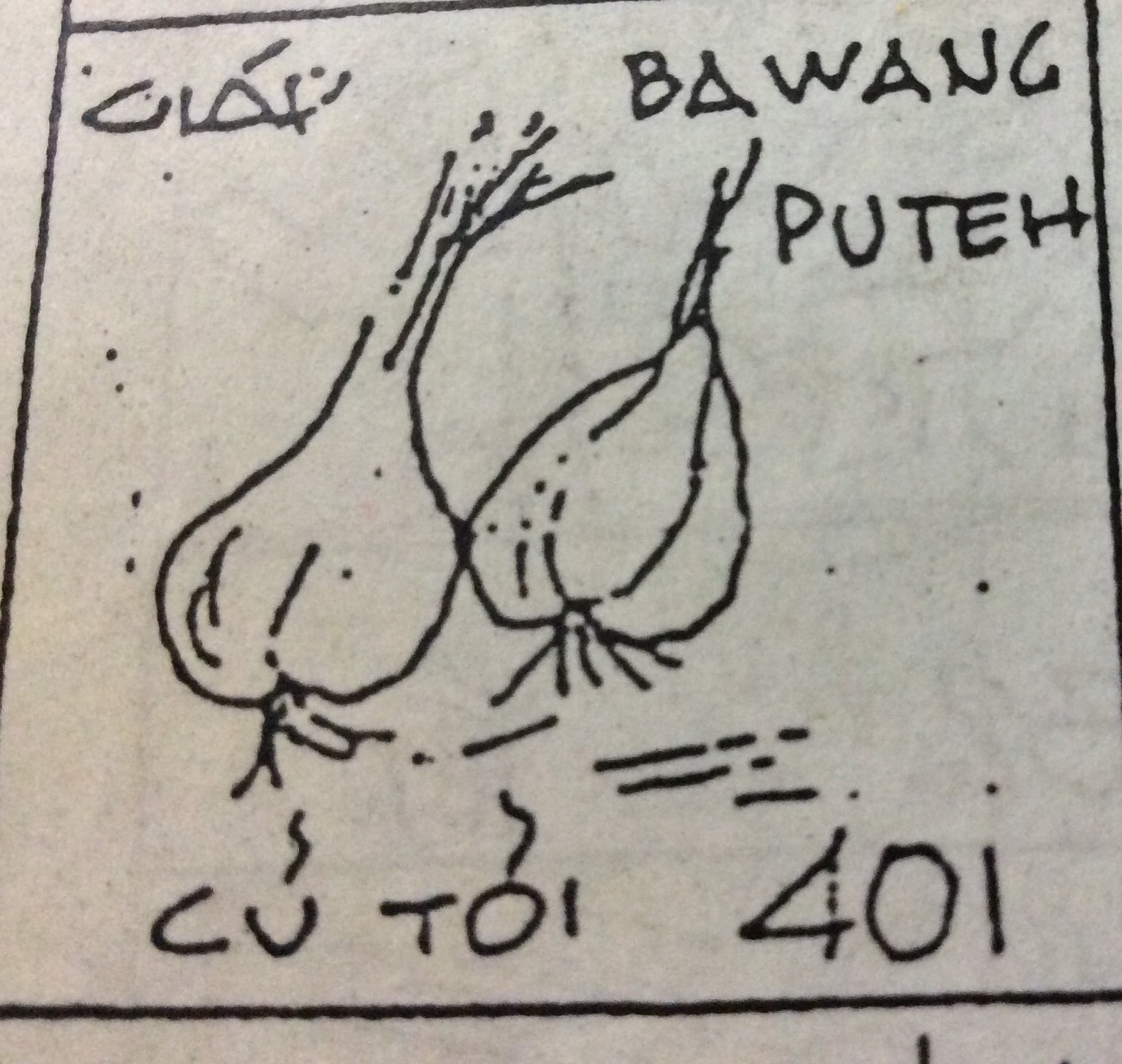 image.jpeg
