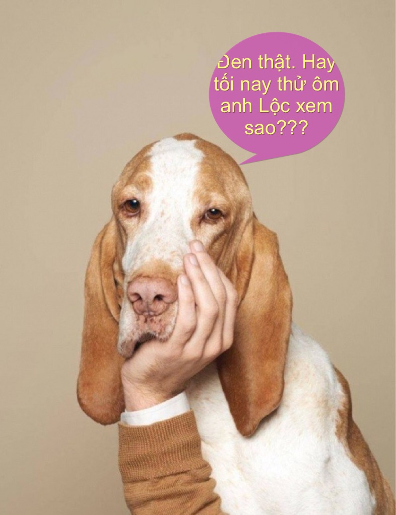 image.jpeg