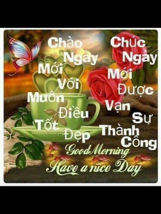 image.jpeg