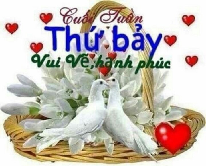 image.jpeg