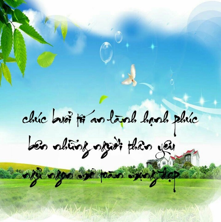 image.jpeg
