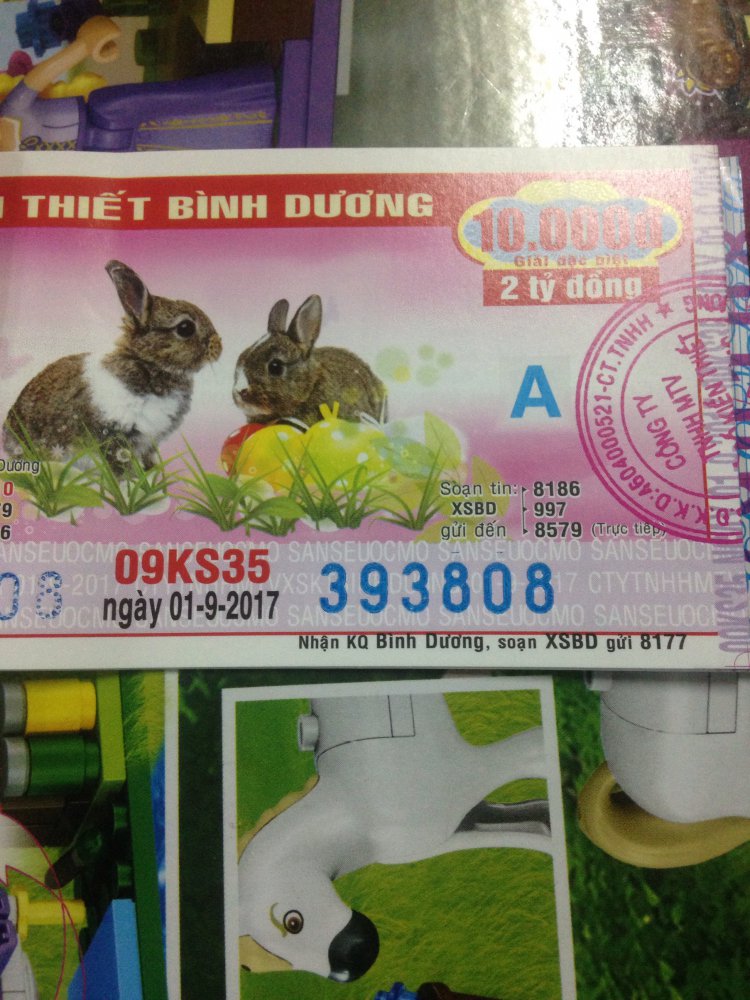 image.jpg