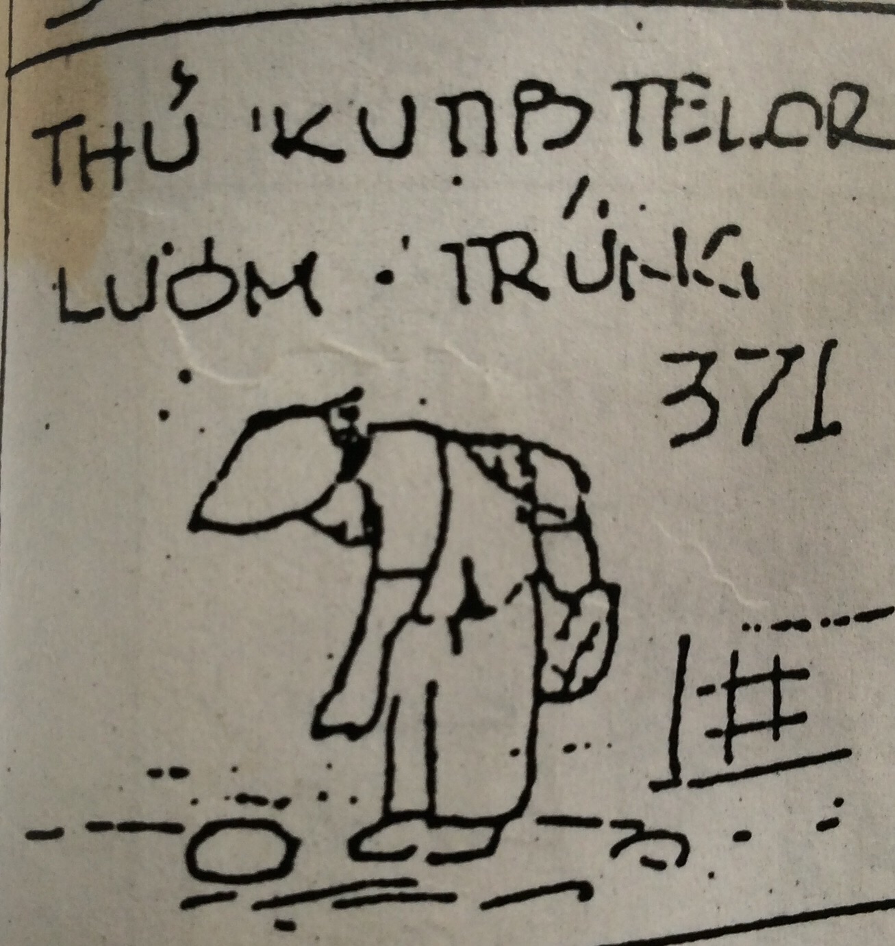 image.jpg