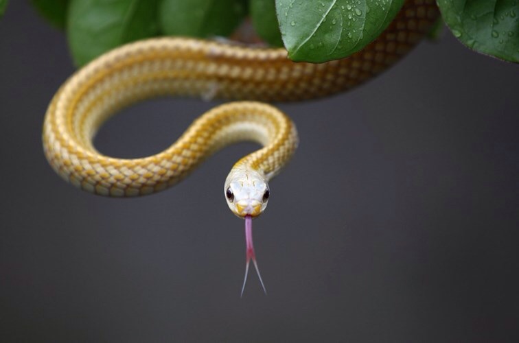 image.jpg