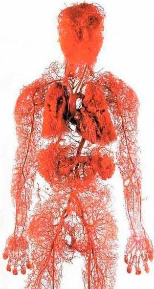 image1.jpg