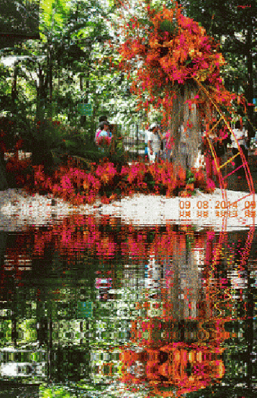 imagenes-animadas-de-hermosos-jardines.gif