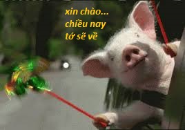 images.jpg   heo.jpgxxxxxxxxxxxx.jpg