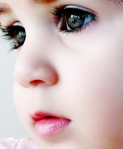 img-58617.jpg