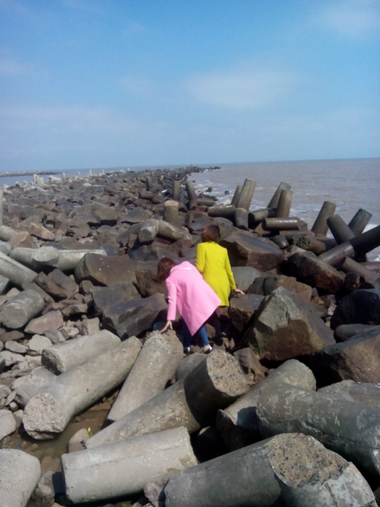 IMG20170201115459.jpg