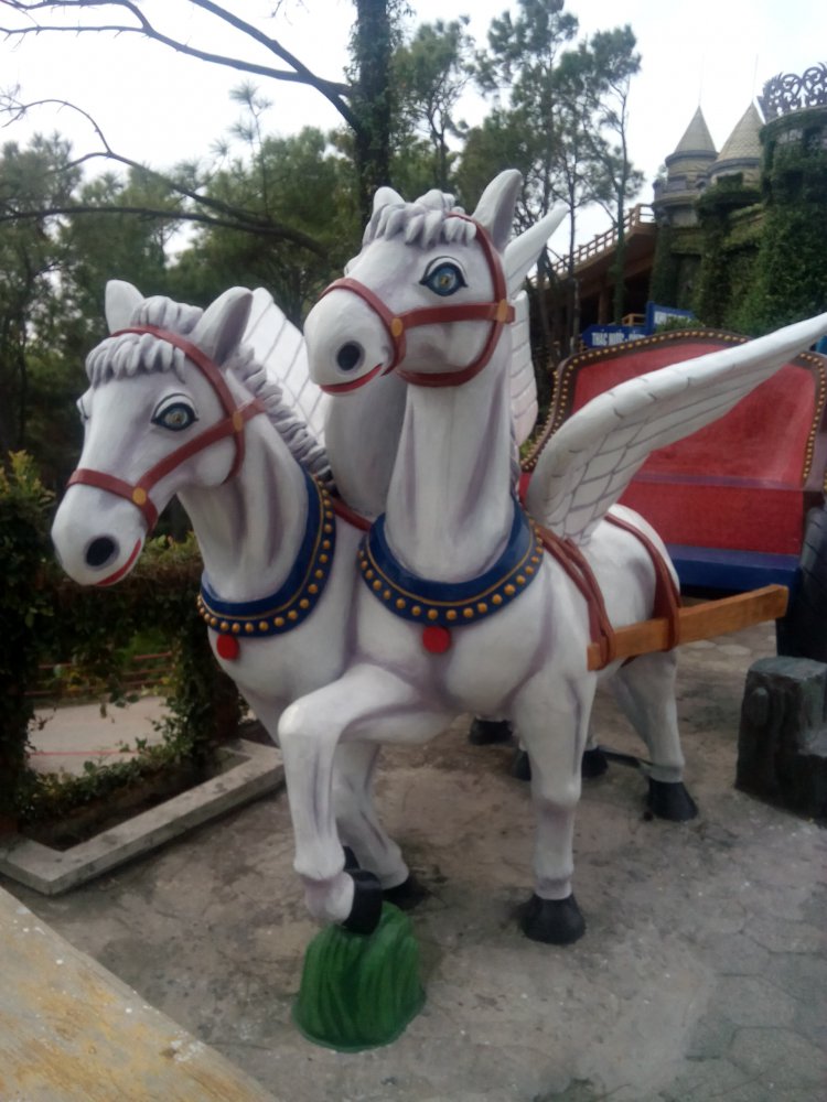 IMG20170201143027.jpg