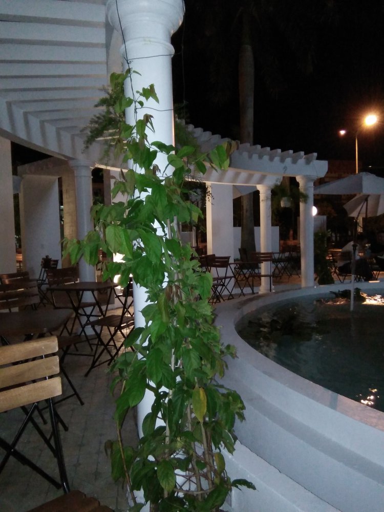 IMG20170807212730.jpg