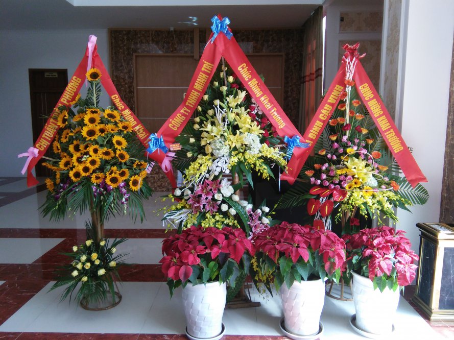IMG20170810143725.jpg