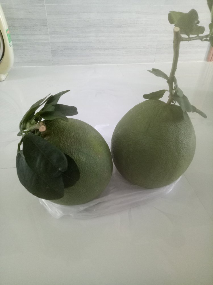 IMG20181120160045.jpg