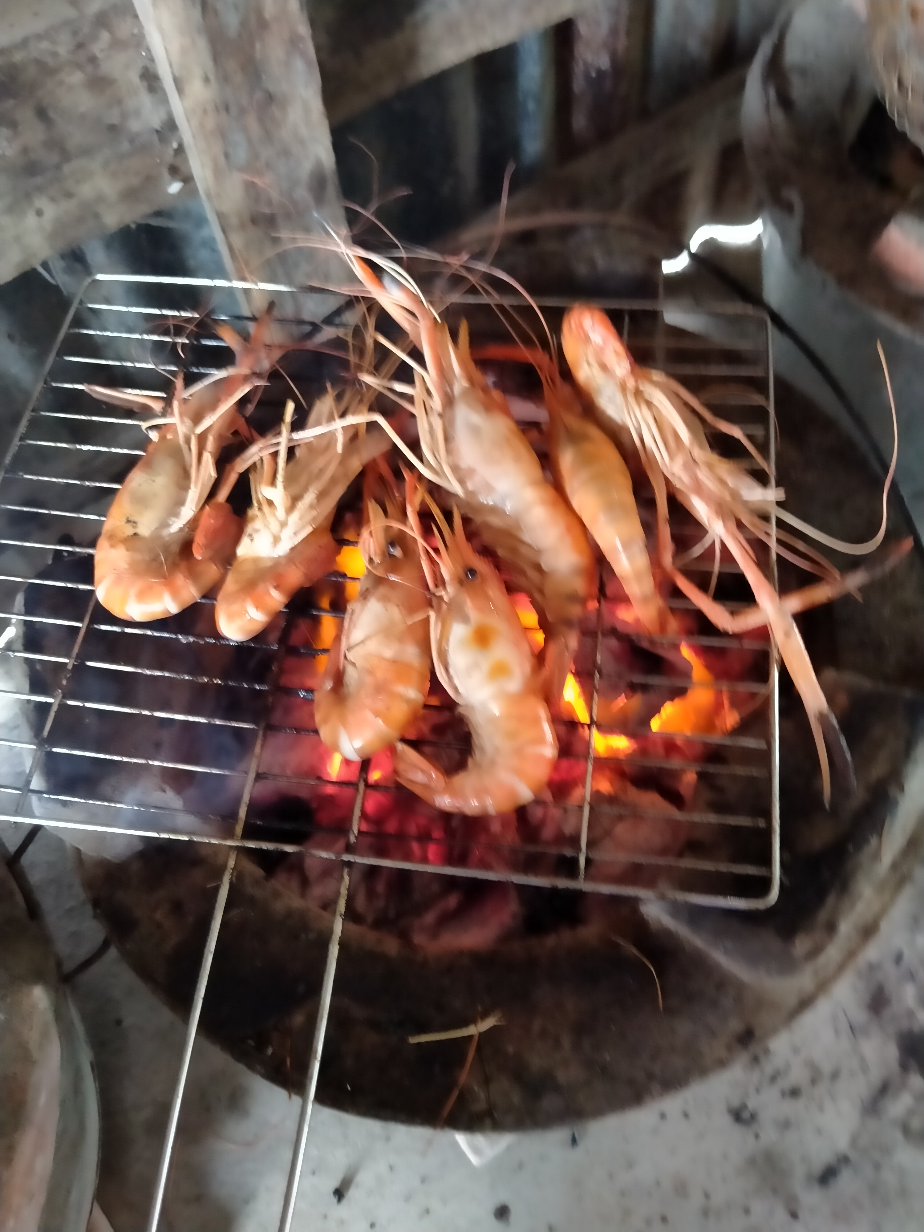 IMG20200220121757.jpg