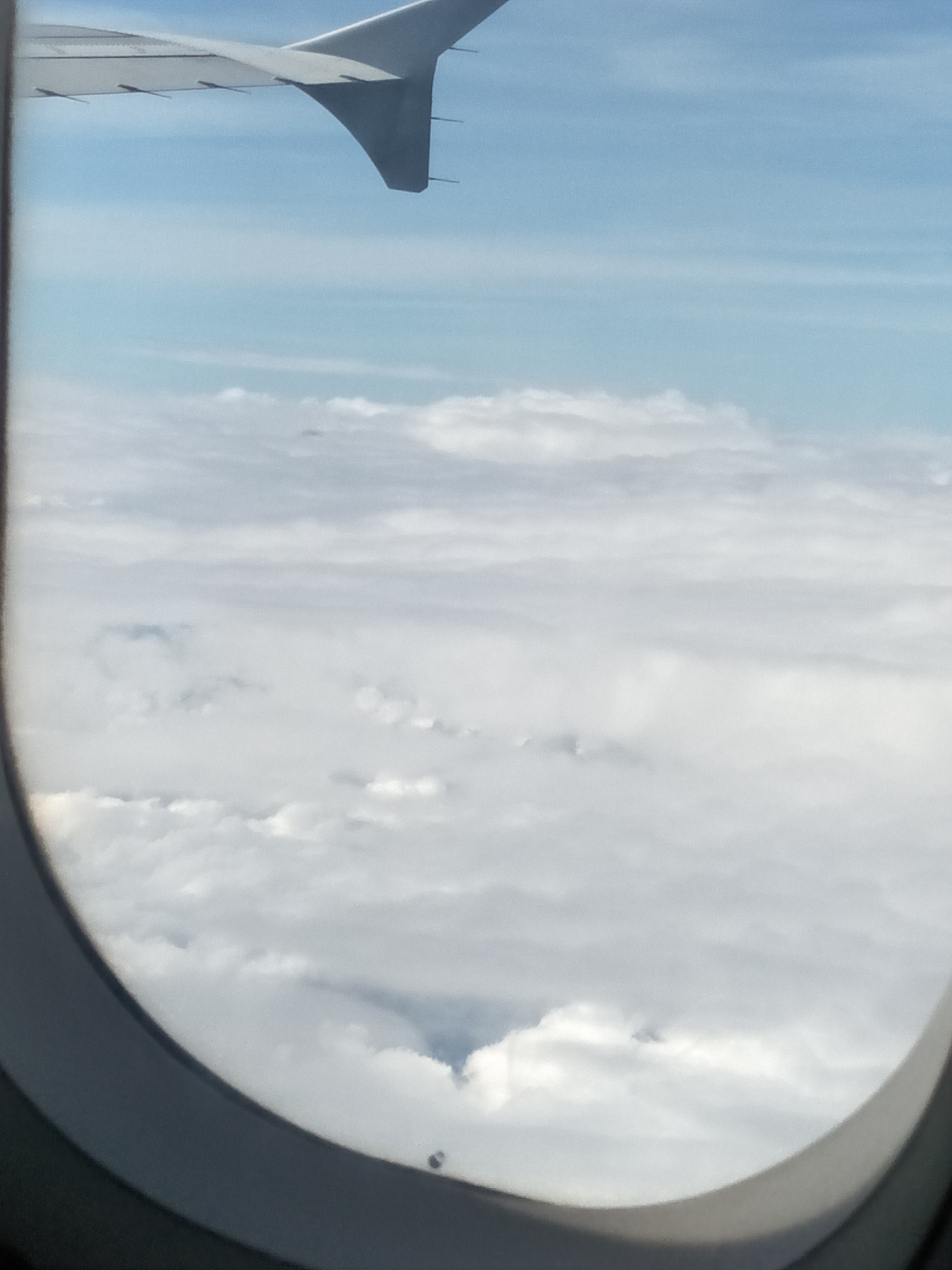 IMG20201103135159.jpg