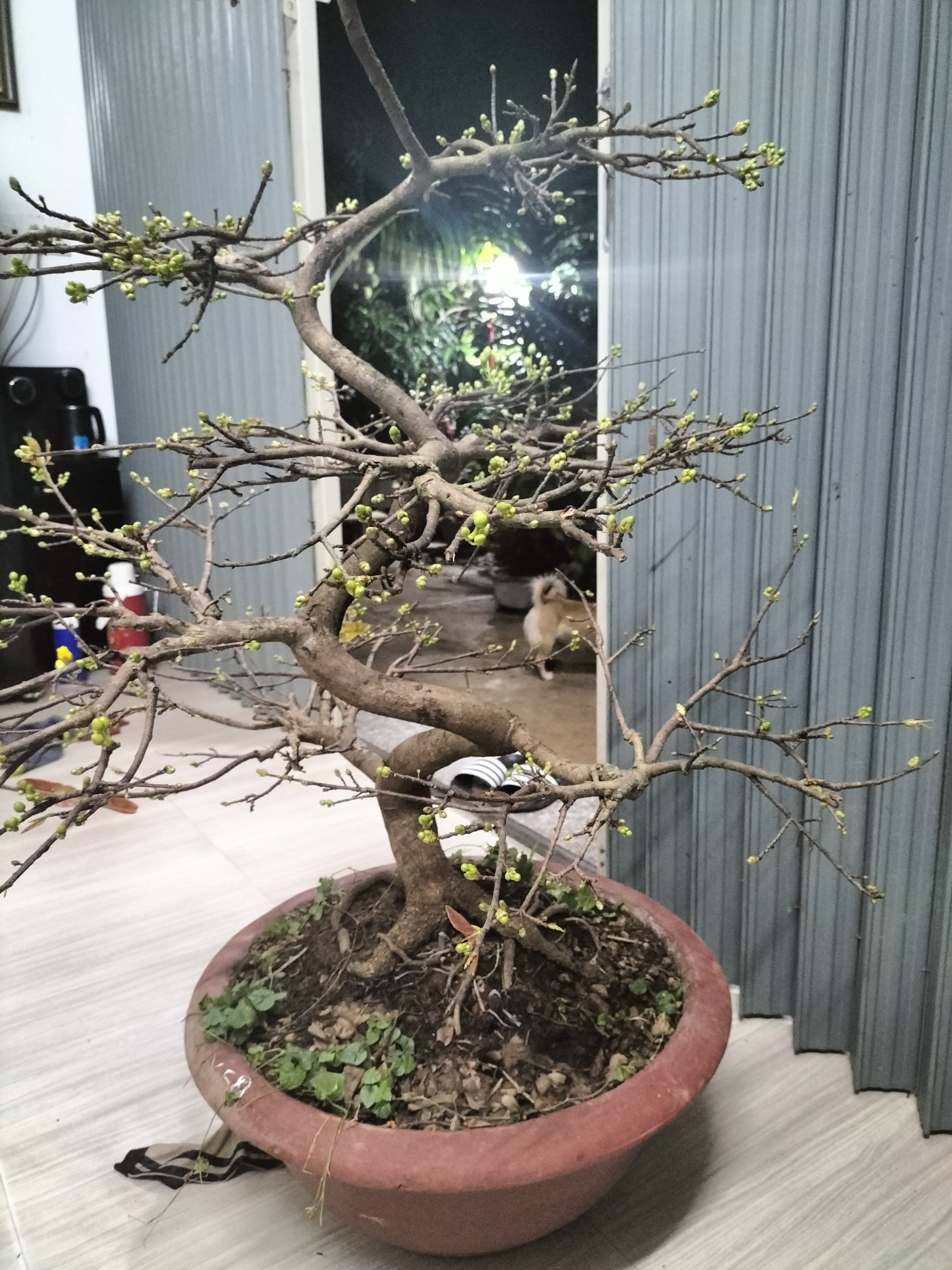IMG20220131221346.jpg