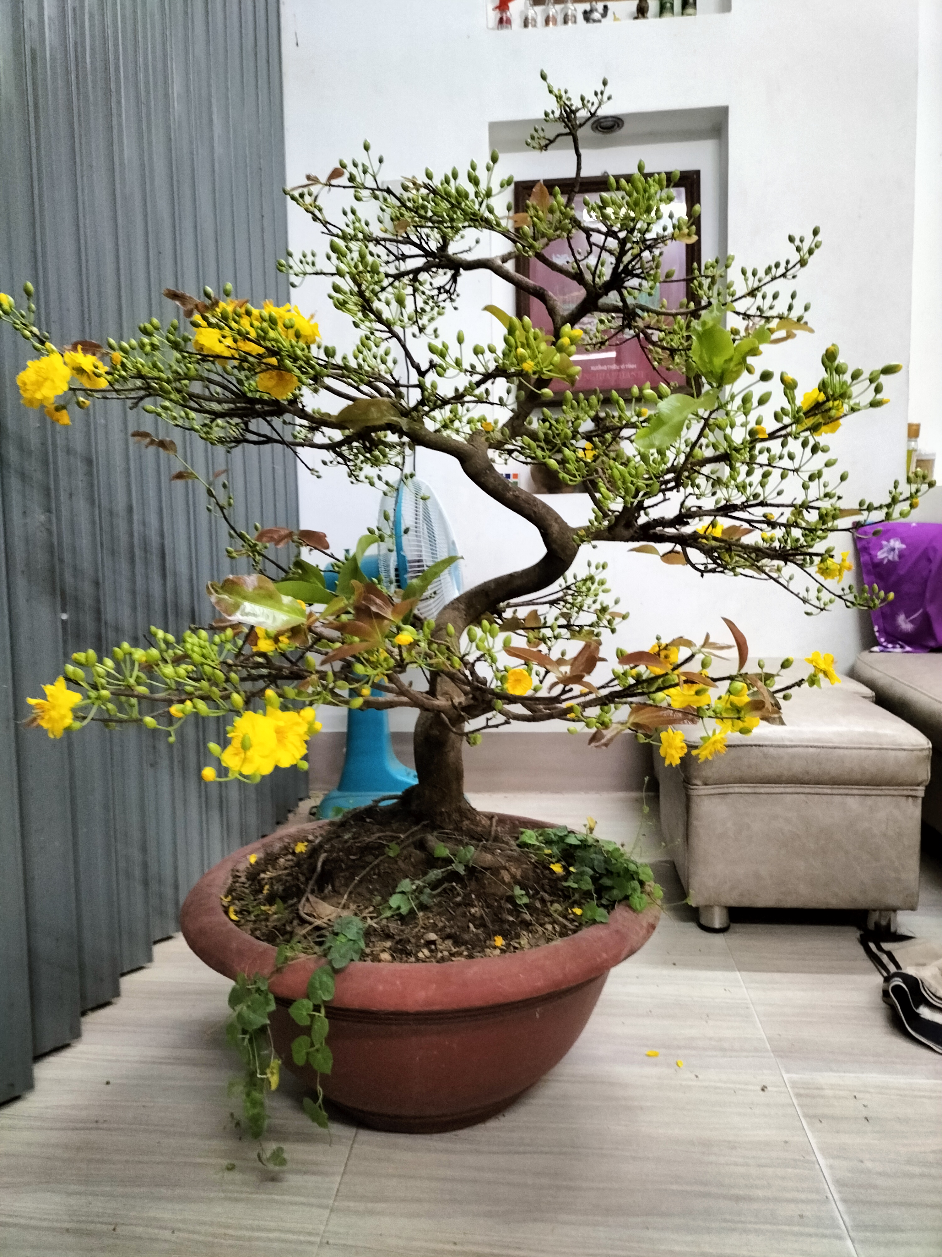 IMG20220205201247.jpg