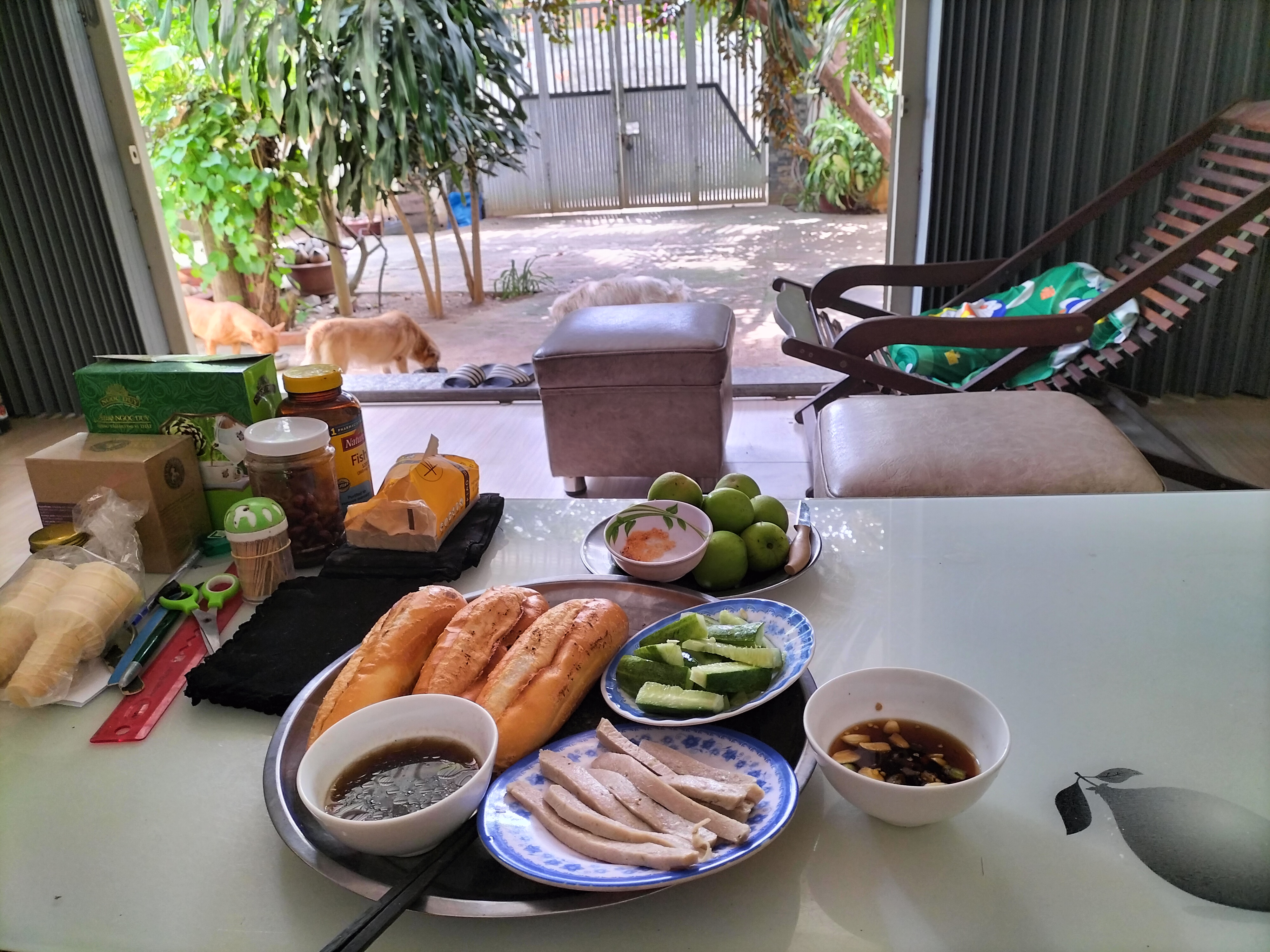 IMG20221103113246.jpg