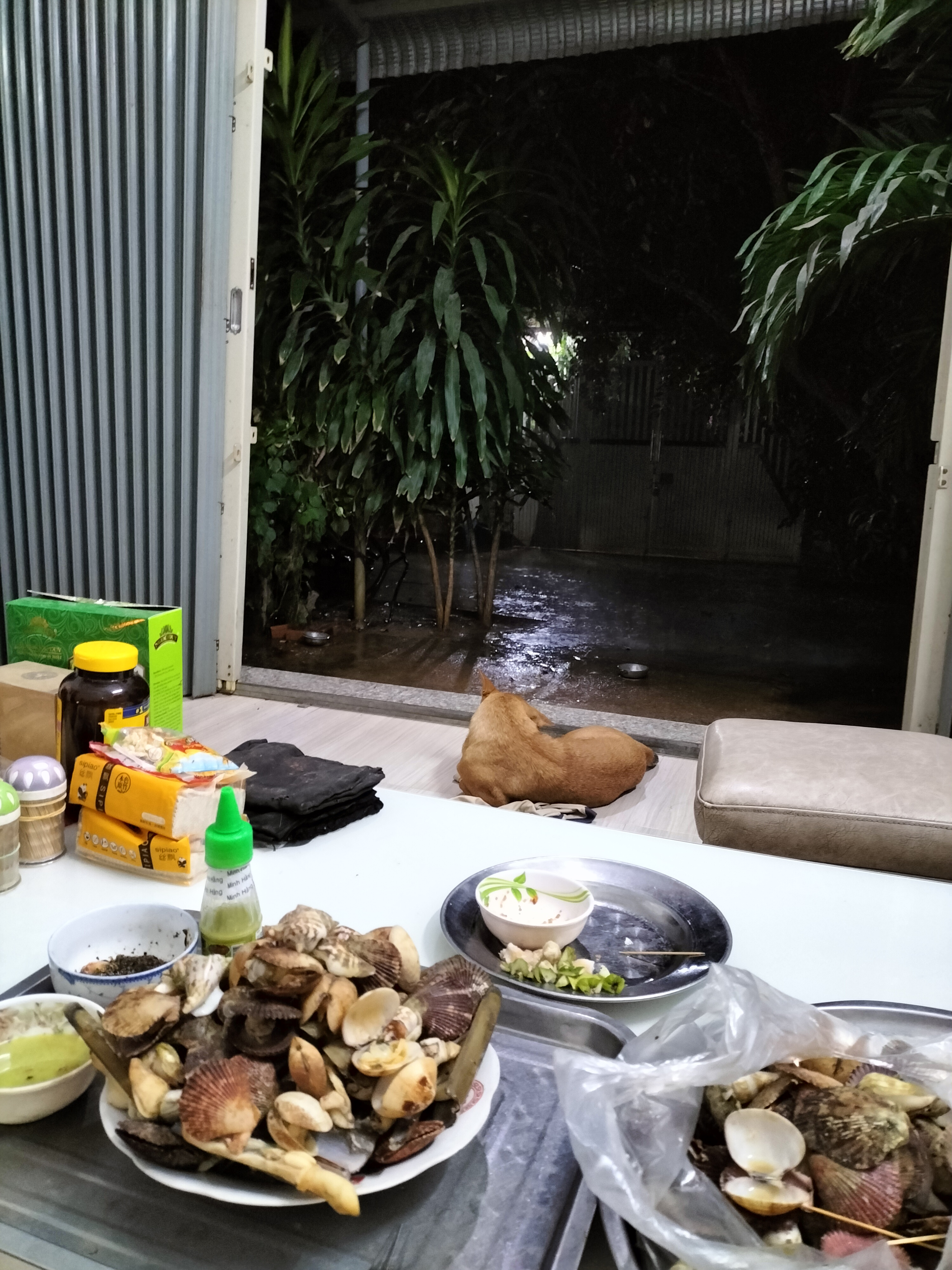 IMG20221114224442.jpg
