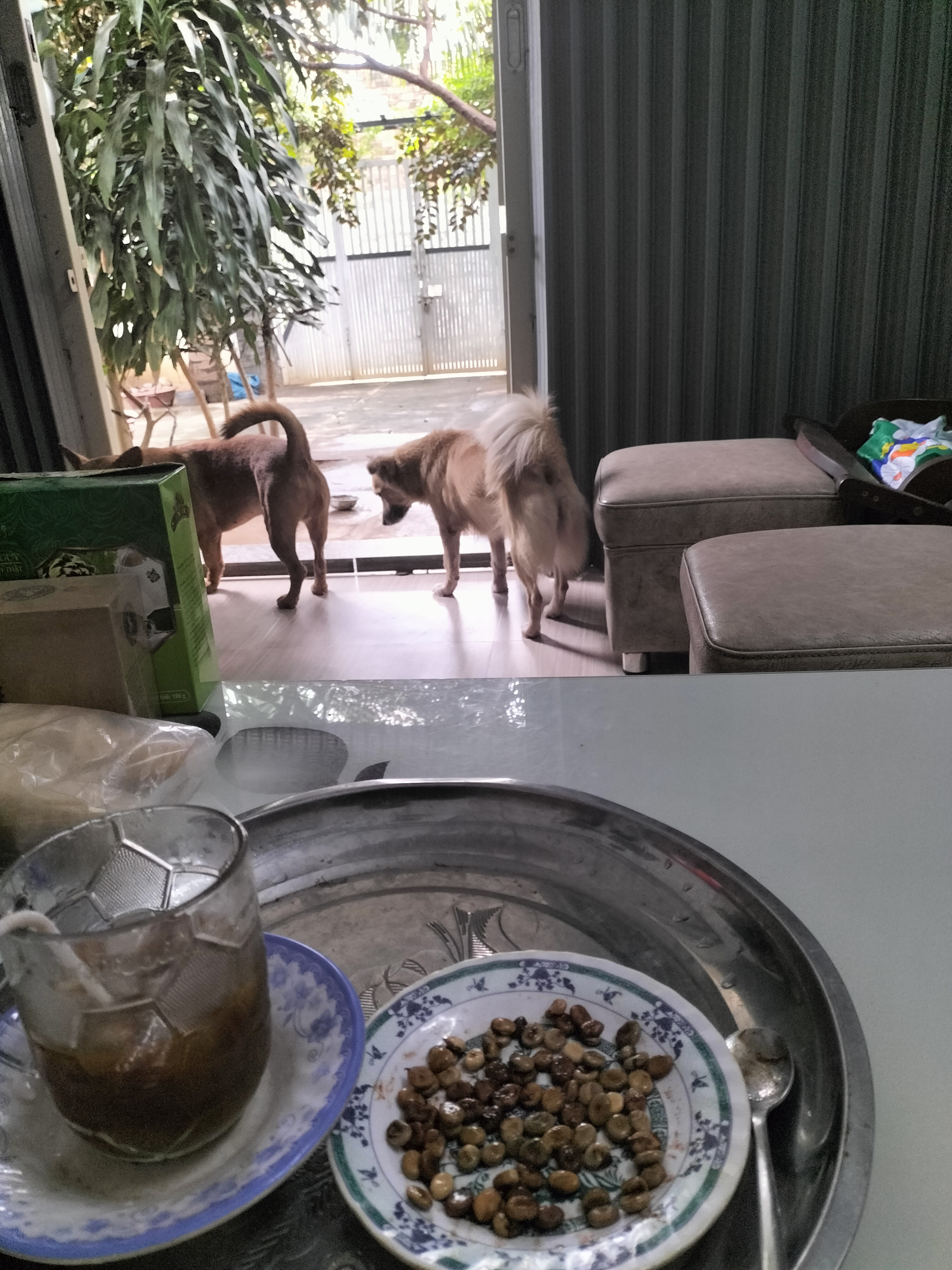 IMG20221204133815.jpg